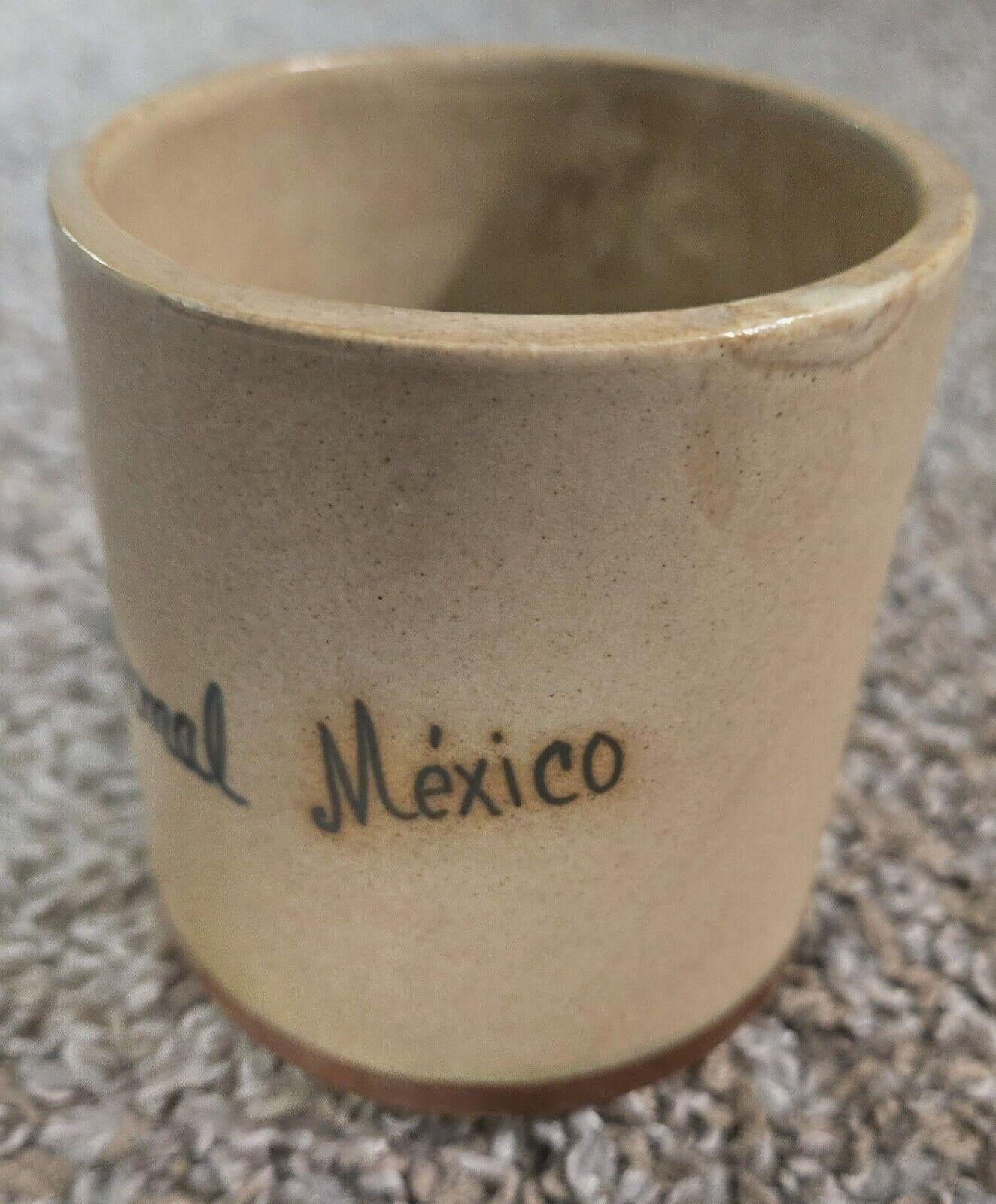 Handmade Axumel, Mexico Turtle Design Coffee Mug