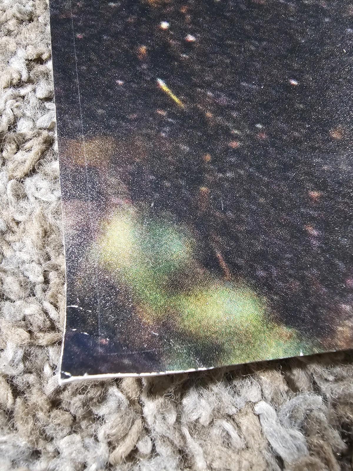 TREK FACTORY RACING Fullsize poster 36x24 Bontrager Shimano