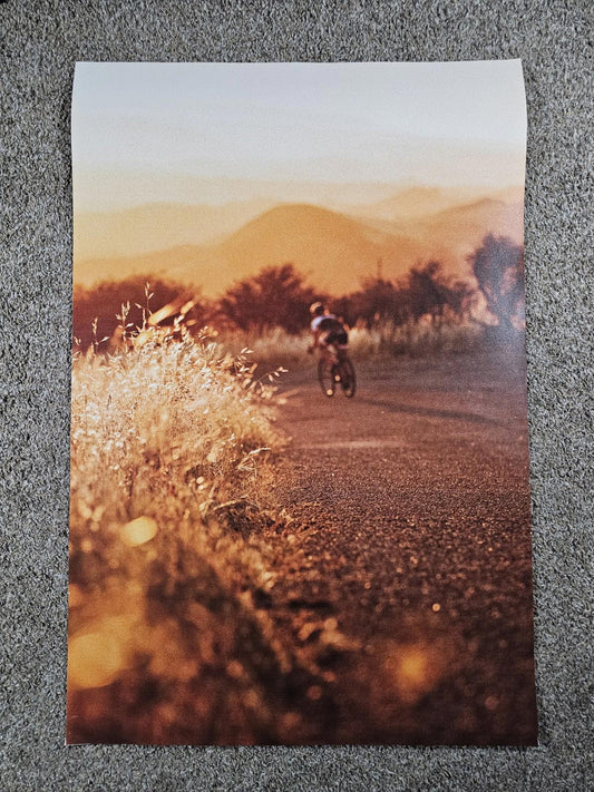 TREK FACTORY RACING Fullsize poster 36x24 Bontrager Shimano